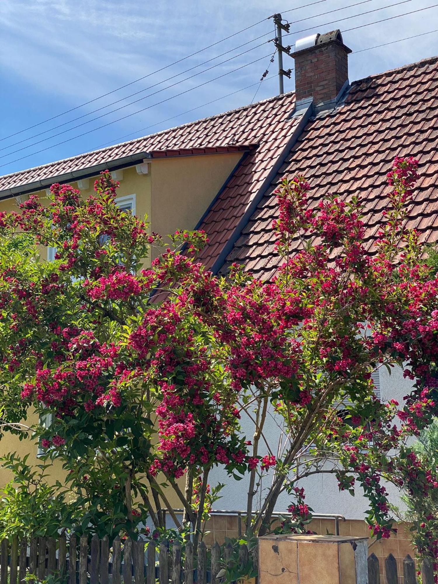 Haus Am Kuhsee Augsburg Exterior photo